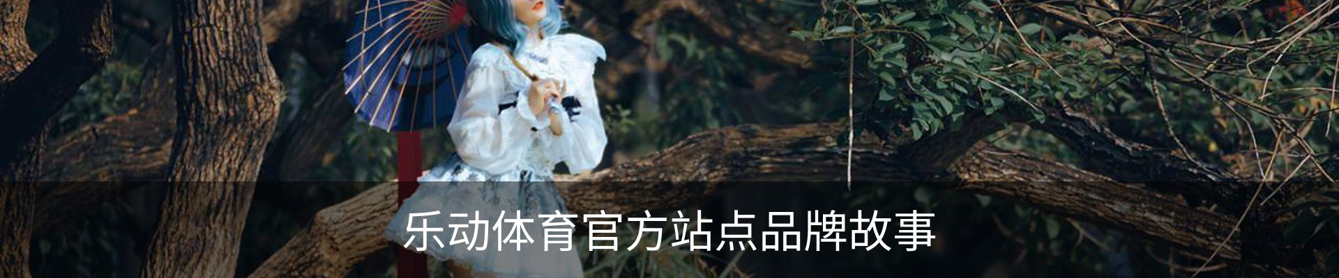 乐动体育官方站点品牌故事